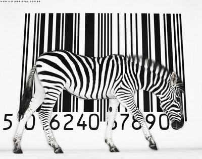 Zebra e suas tradicionais listras.