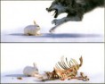 /album/a-pascoa-pode-ser-apavorante/bad-rabbit-jpg/